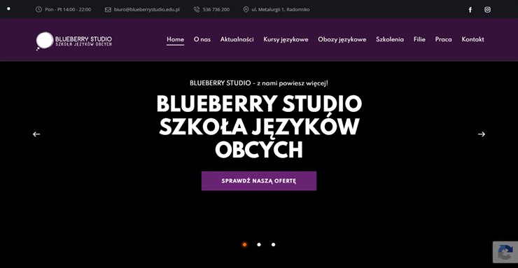 Blueberry Studio – szkoła języków obcych